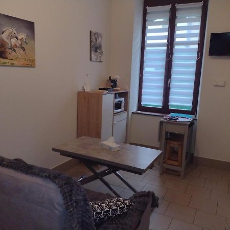Appartement Rdc Chez Caroline Bourbonne-les-Bains Dış mekan fotoğraf