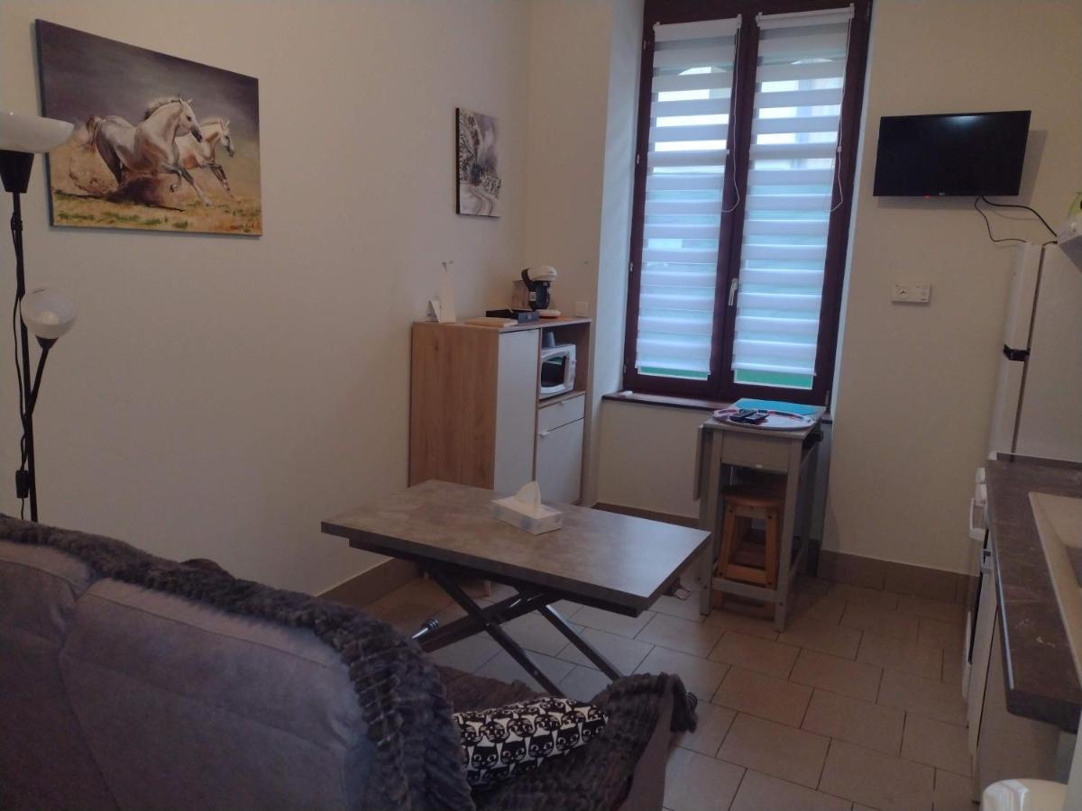 Appartement Rdc Chez Caroline Bourbonne-les-Bains Dış mekan fotoğraf